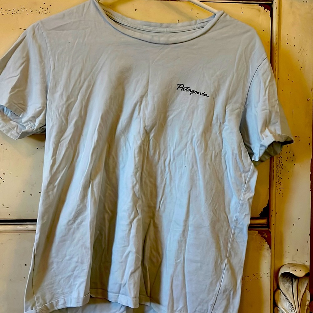 Patagonia tshirt